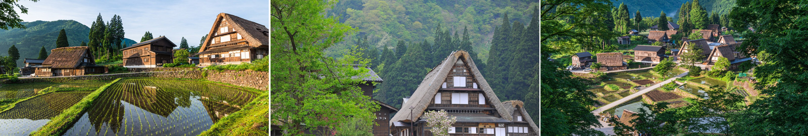 Japanese village