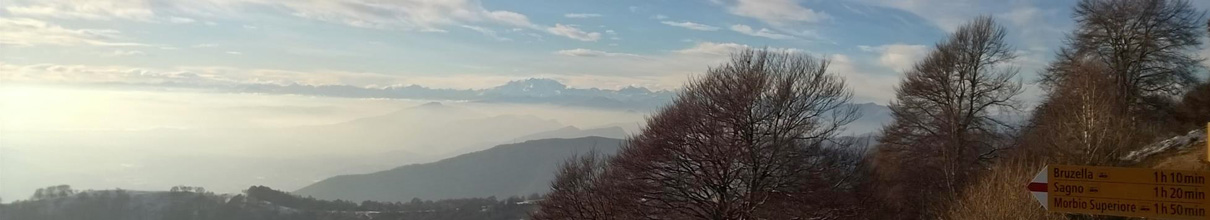 Bisbino bis bi no
