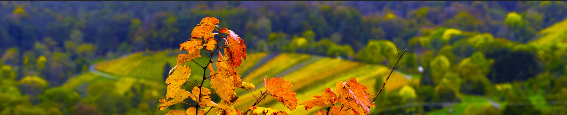 Herbst im Tessin