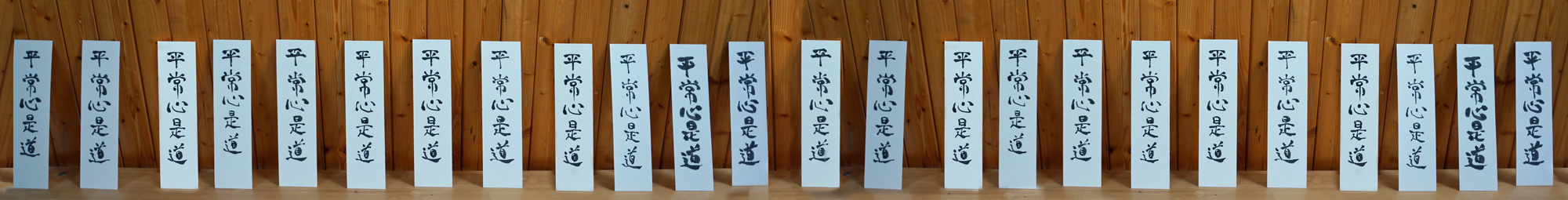 Seminar in Prag 11/2025